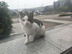 -安徽大学(磬苑校区)