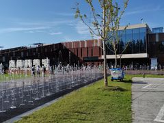 -黄海国家森林公园