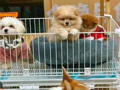 -佛山京华广场MALL