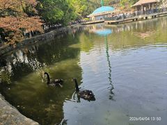 -合肥野生动物园