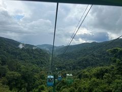-野象谷景区