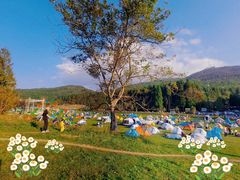 -武陵山森林公园