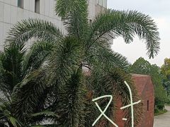 -广州莲花山旅游区