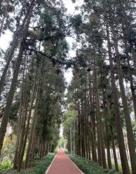 -前小桔亲子创意农场·草莓采摘·露营烧烤