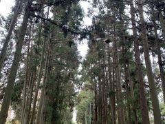 -前小桔亲子创意农场·草莓采摘·露营烧烤