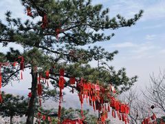 -天津盘山风景名胜区