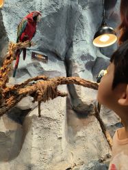 -Zoolung Zoolung动物主题公园(海信广场店)