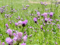 -北运河水利风景区