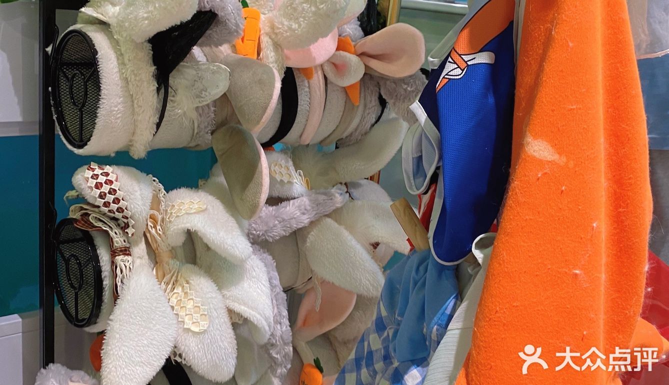 广州新店｜一起去撸可可爱爱的安哥拉巨兔吧🐰