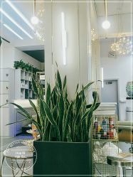 -FUTURE HN男士发型风格设计