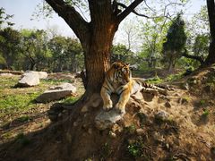 -西安秦岭野生动物园