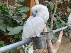 -南宫五洲植物乐园