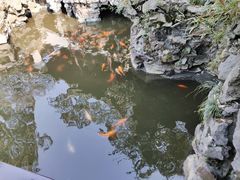 -豫园