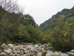 -沣峪口