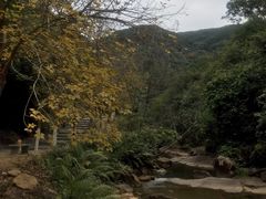 -广州白江湖森林公园