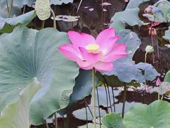 -福建鲤鱼洲酒店