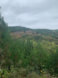 -浅山蜜塘奇妙乐园·亲子营地