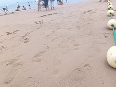 -日照海滨国家森林公园