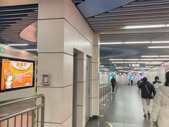 -大望路(地铁站)