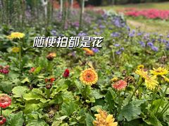 -广州市白云山风景名胜区