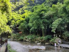 -三峡人家风景区