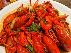 -杨氏青龙虾·羊蝎子(托乐嘉店)