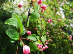 -螃蟹岬(地铁站)