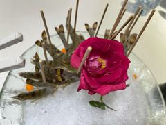 -宝燕海鲜(好爱店)