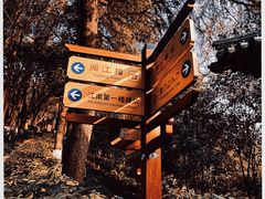 -阅江楼风景区