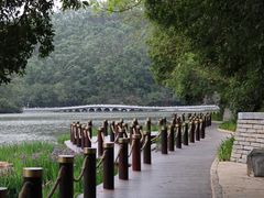 -深圳仙湖植物园