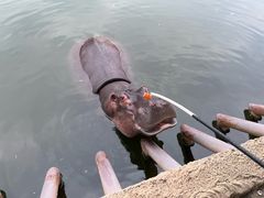 -杭州野生动物世界