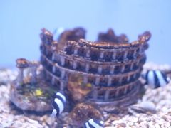 -常州海昌海洋探索馆