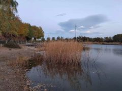 -永定河休闲森林公园