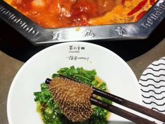 -蜀九香火锅(九眼桥店)