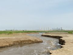 -羊亭河湿地公园