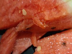 -三天打鱼(奥体店)