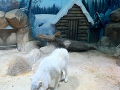 -华谊兄弟（长沙）电影小镇