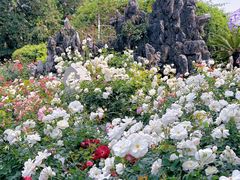 -人民公园(罗湖区)