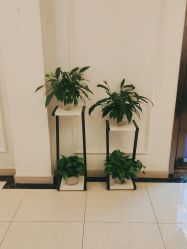 -香秀空间科技抗衰·美容中心