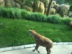 -北京野生动物园