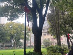 -上海市第八中学