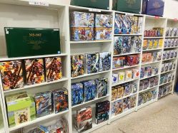 -逝水玩具折扣店