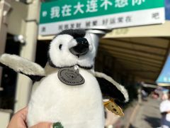 -星海广场