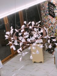 -赫本轻奢美颜中心