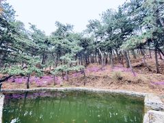 -红螺寺