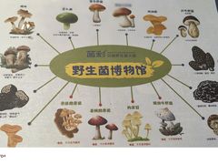 -菌彩云南野生菌火锅(呈贡七彩云南第壹城店)