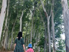 -翠屏湖景区