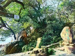 -江心屿景区