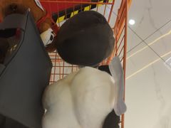 -可爱抓 COCO  GOTCHA(天津鹏欣水游城店)