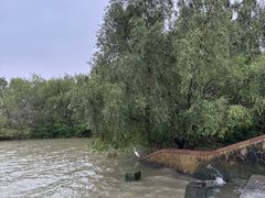 -深圳湾公园(南山区)
